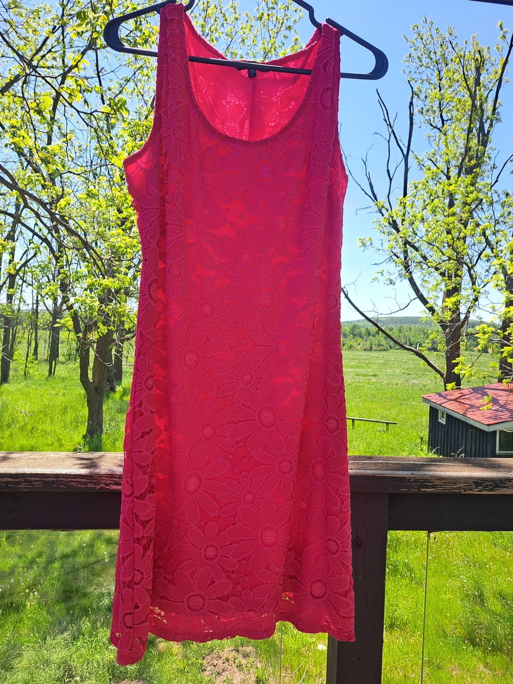 Tiana B. Bright Pink Floral Lace Sleeveless Dress